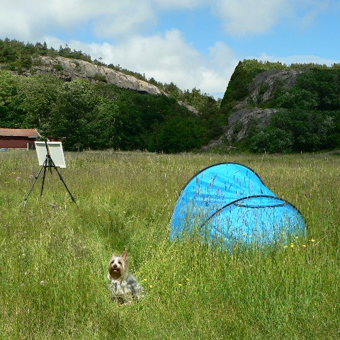 A small dog sits in a grassy field next to a blue tent and an easel, with a rocky hill and trees in the background.
