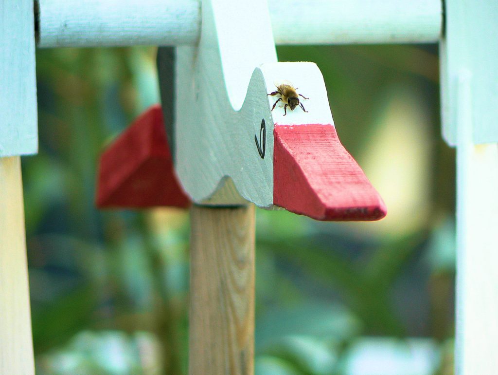 A close-up of a painted wooden toy duck with a red beak and a bee sitting on it, set against a blurred natural background.