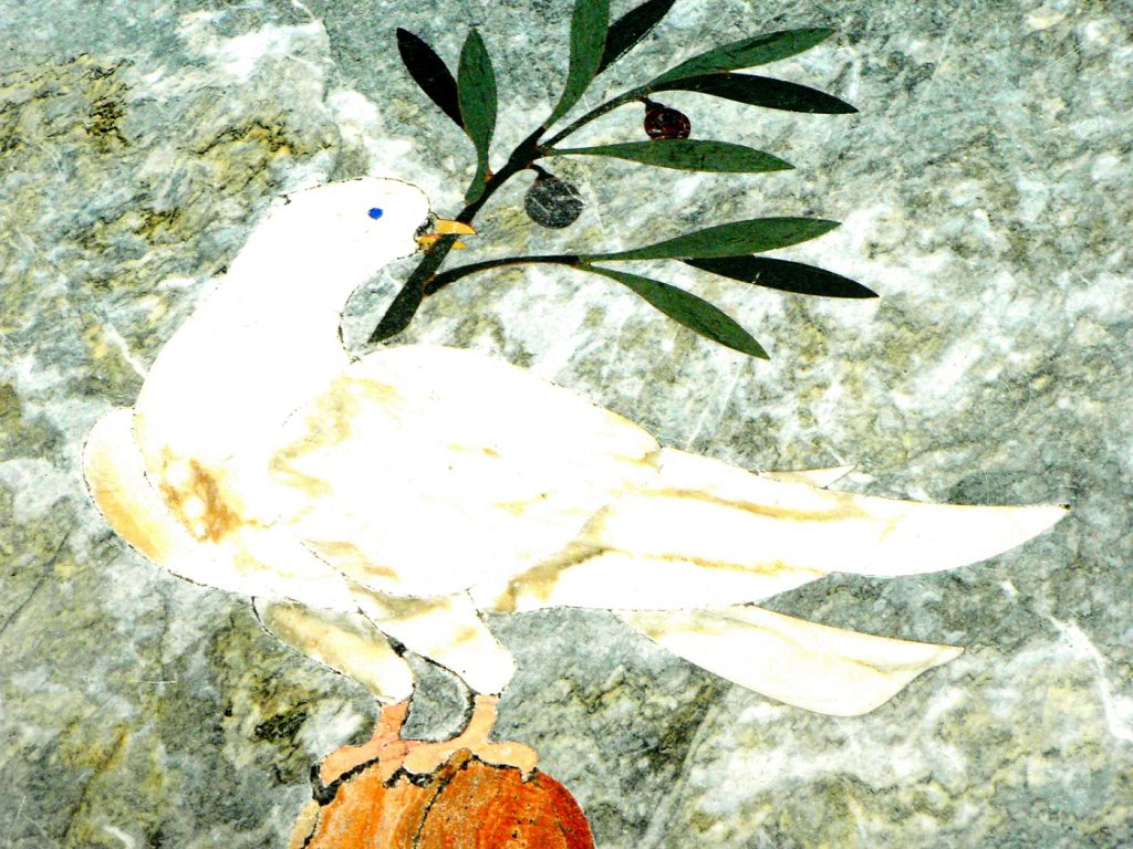 A white dove perched on a rock, holding an olive branch in its beak, against a textured stone background.