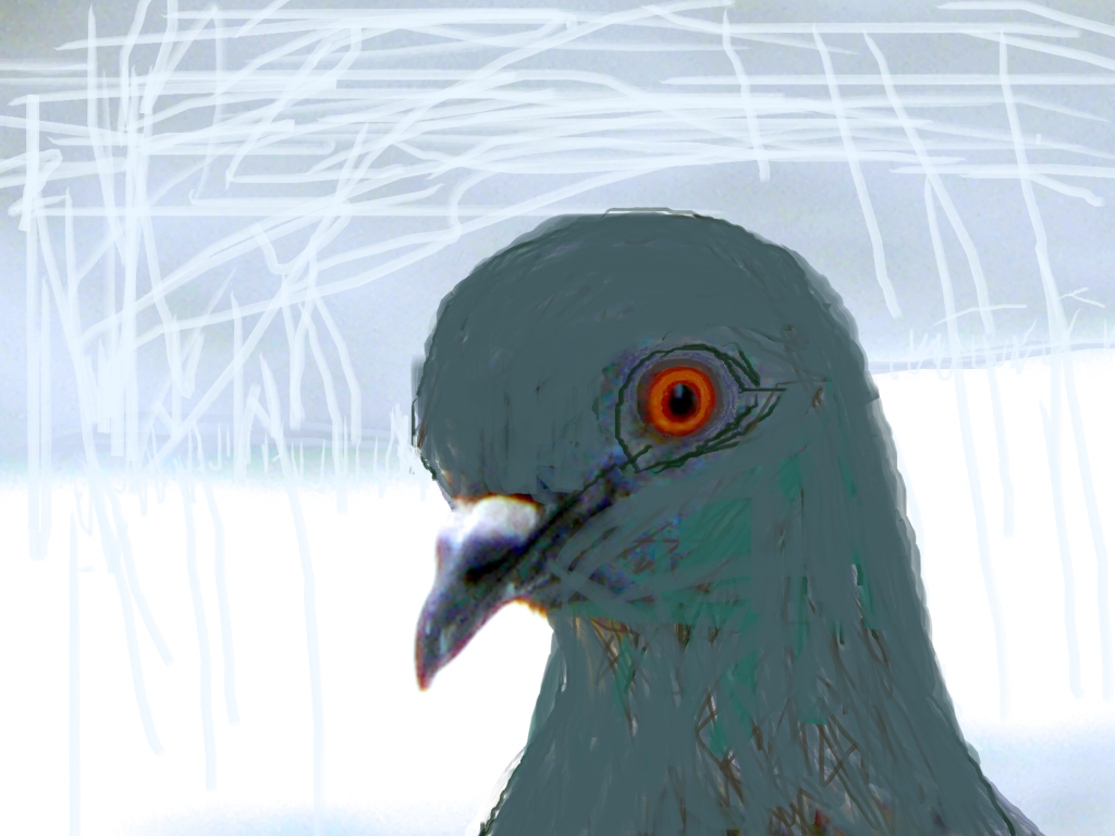 A close-up illustration of a pigeon with prominent orange eyes against a light grey background.